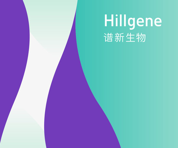 全球四大會(huì)計(jì)師事務(wù)所Logo設(shè)計(jì)特點(diǎn)大揭秘